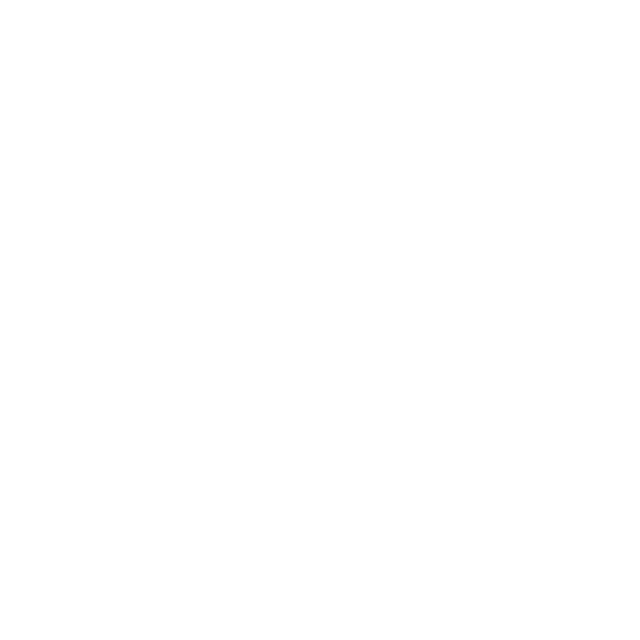 Euphoria Collective